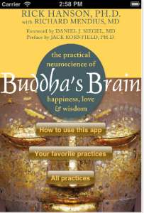 Buddha Brain